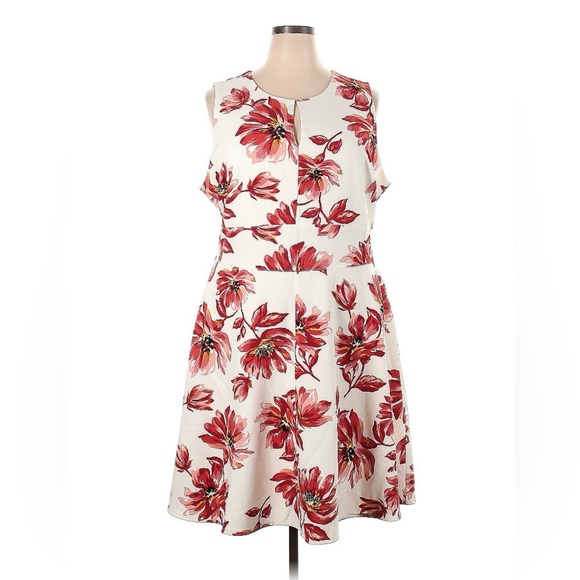 Lane Bryant Dresses & Skirts - ✨Lane Bryant Midi Dress